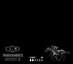 Thoroughbred Breeder III Screenthot 2